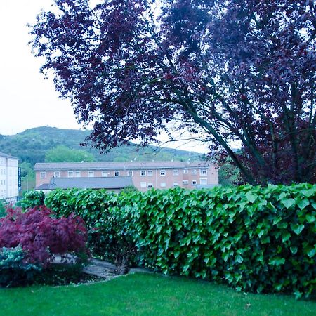 B&B Zaldu Estella Buitenkant foto
