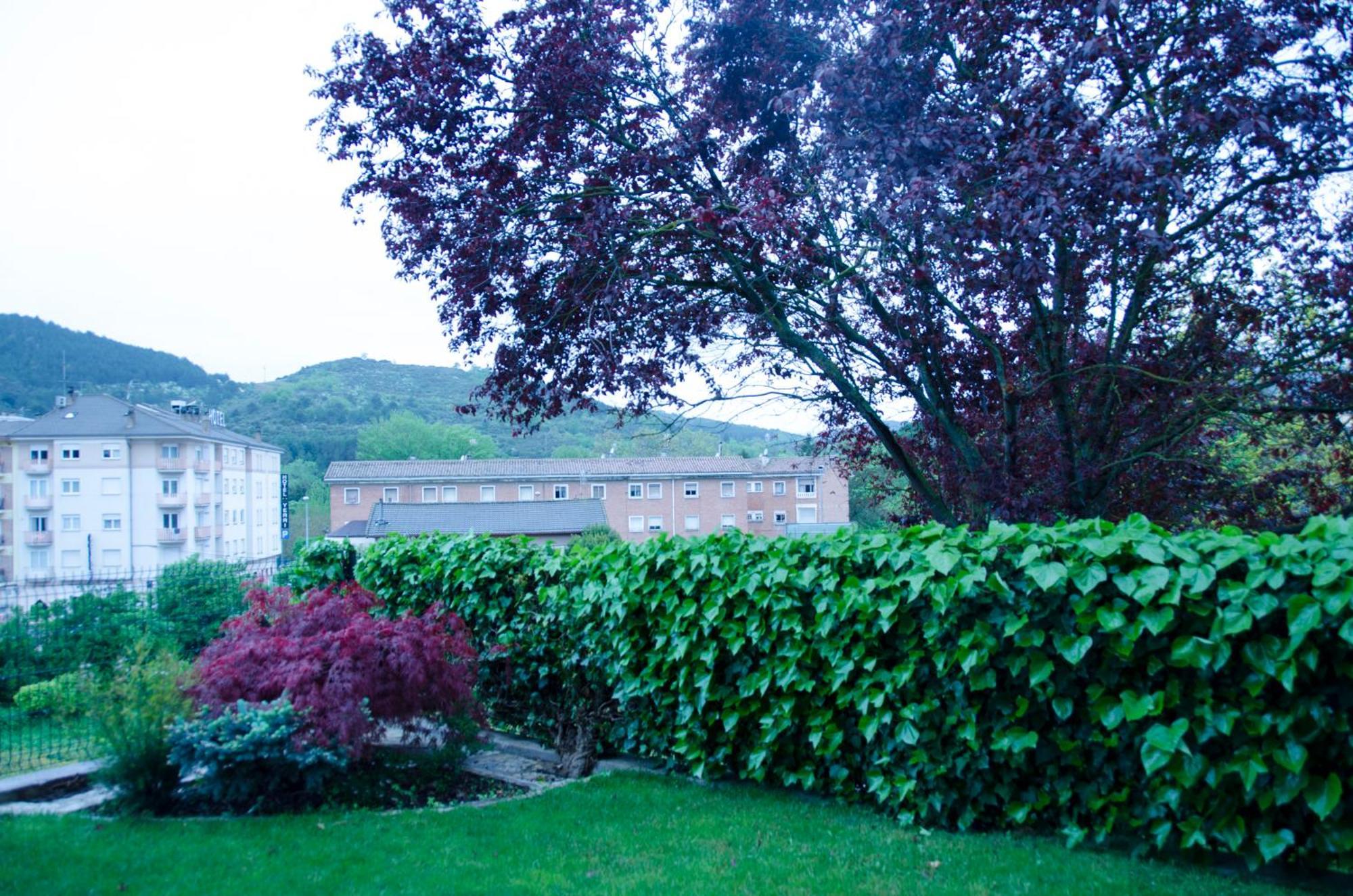 B&B Zaldu Estella Buitenkant foto